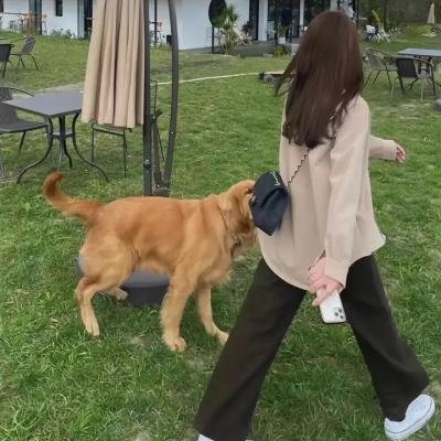 万花锦绣